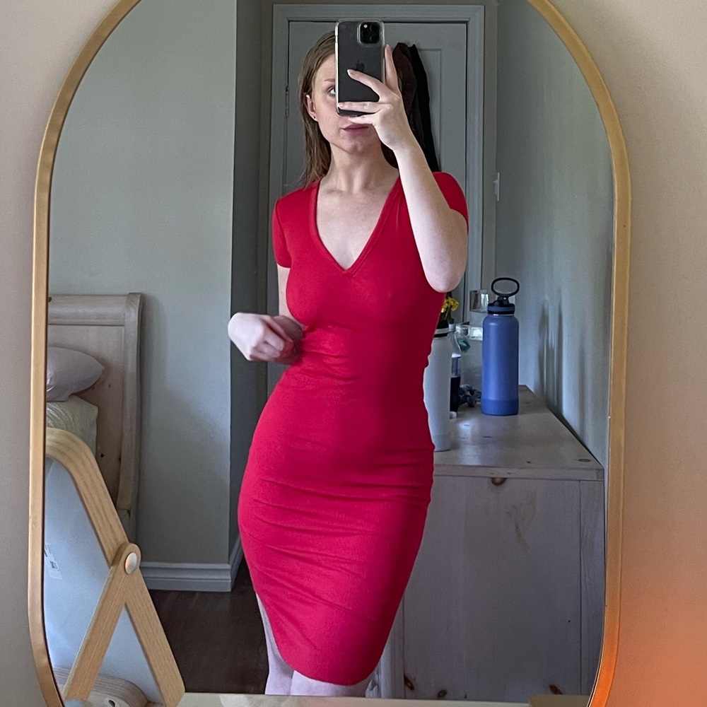 ARITZIA DRESS